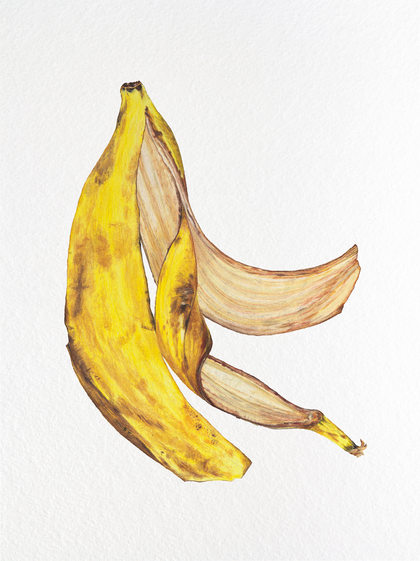 Banana (slip)