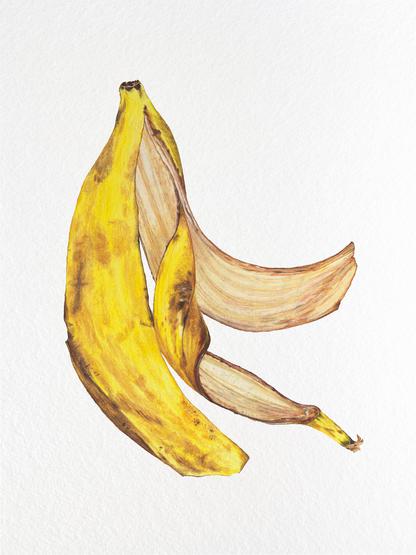 Banana (slip)