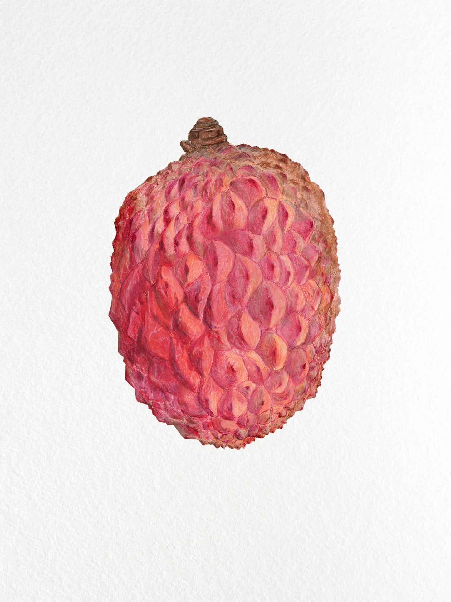 Lychee