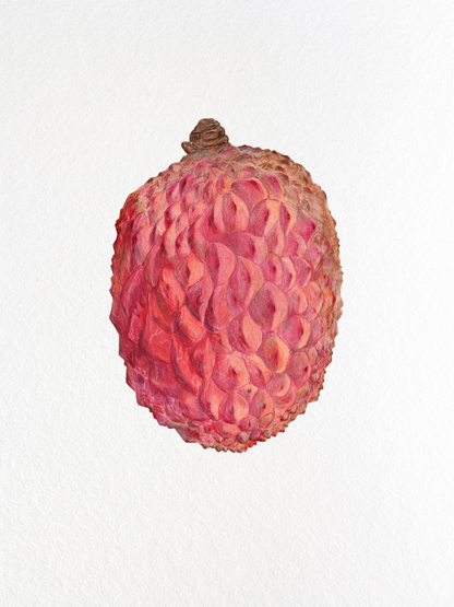 Lychee