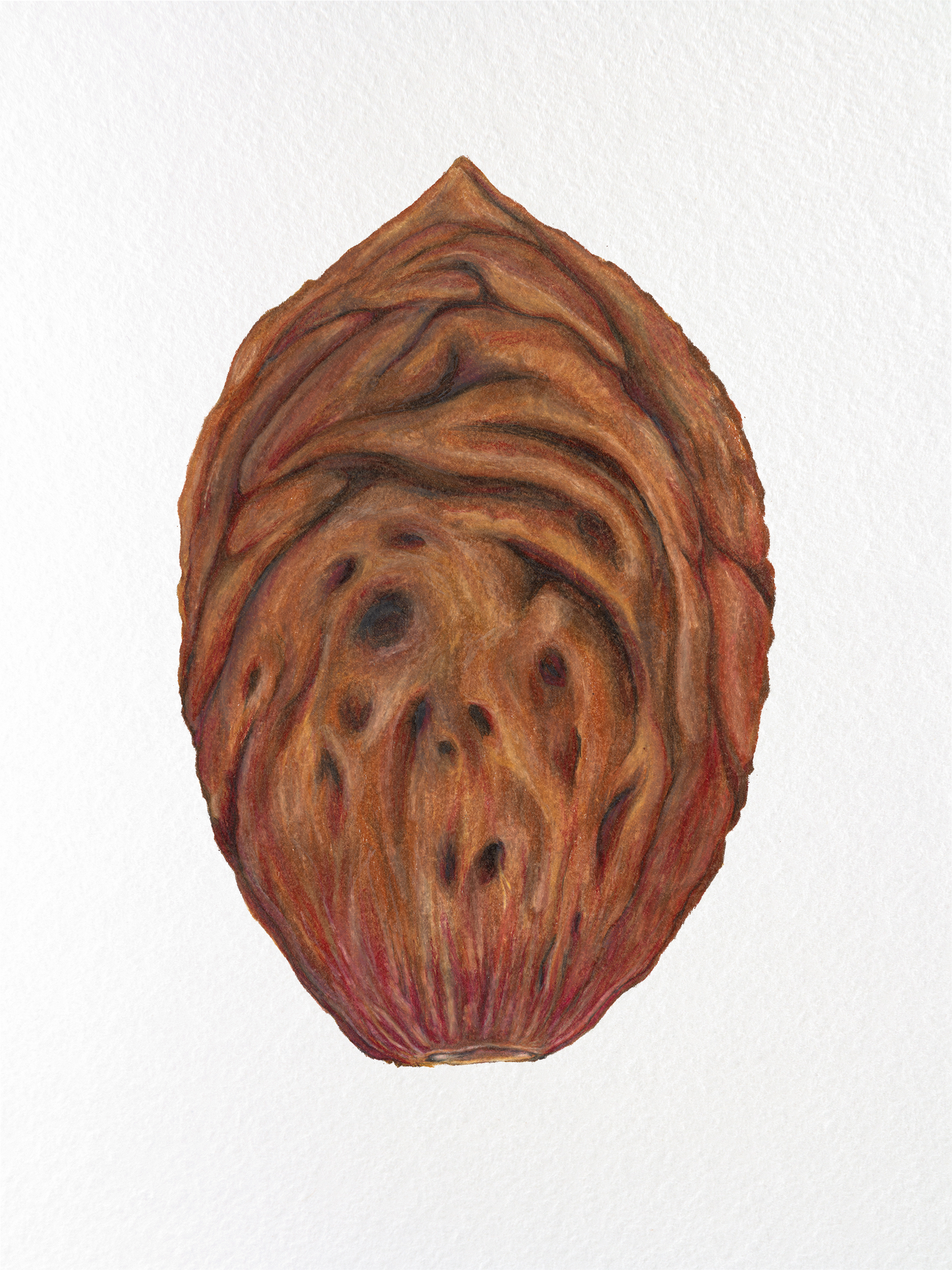 Pit of the Peach